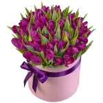 Бокс из 51 фиолетового тюльпана