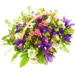 Корзина с цветами Цветы и звезды