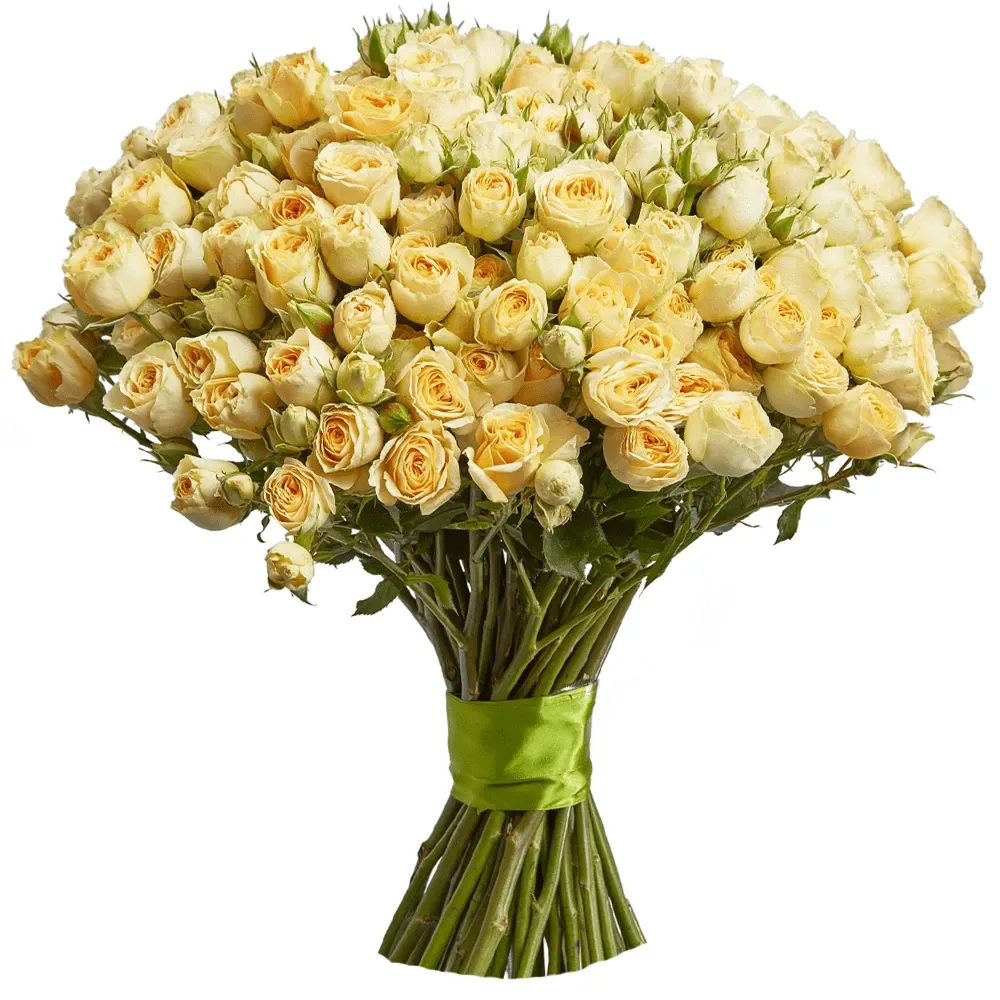 Розы Кустовые Кремовые